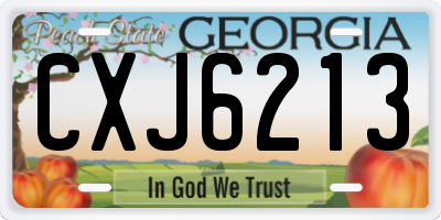 GA license plate CXJ6213