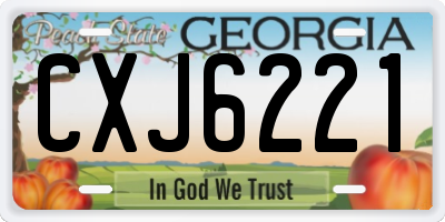 GA license plate CXJ6221