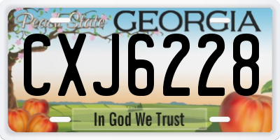 GA license plate CXJ6228