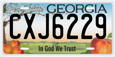 GA license plate CXJ6229