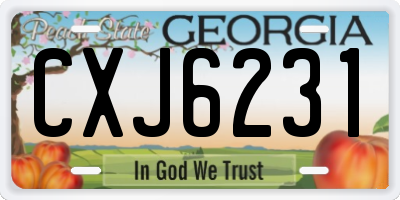 GA license plate CXJ6231