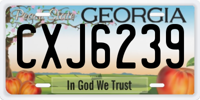 GA license plate CXJ6239