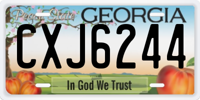 GA license plate CXJ6244