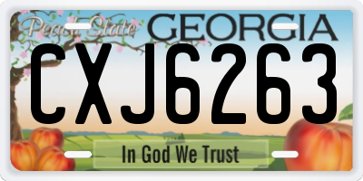 GA license plate CXJ6263