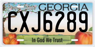 GA license plate CXJ6289