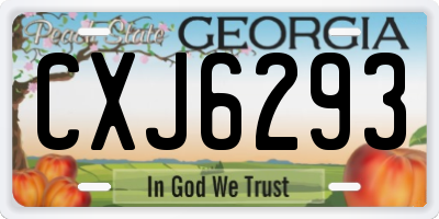 GA license plate CXJ6293