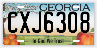 GA license plate CXJ6308