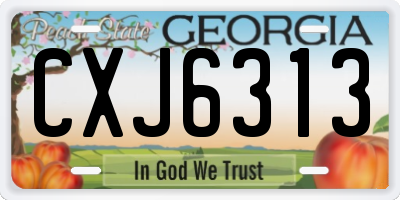 GA license plate CXJ6313