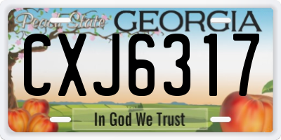 GA license plate CXJ6317