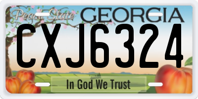 GA license plate CXJ6324