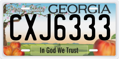 GA license plate CXJ6333