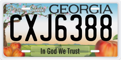 GA license plate CXJ6388
