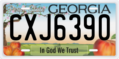 GA license plate CXJ6390