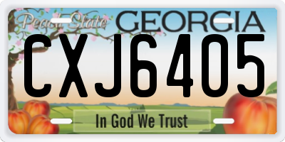 GA license plate CXJ6405