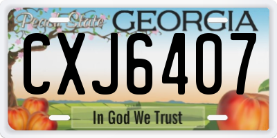 GA license plate CXJ6407