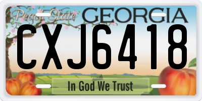 GA license plate CXJ6418