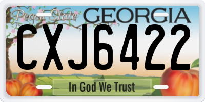 GA license plate CXJ6422