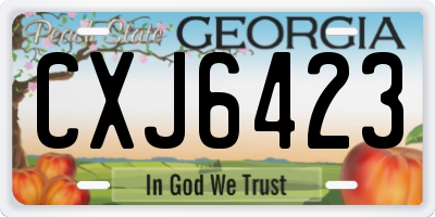 GA license plate CXJ6423