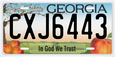 GA license plate CXJ6443