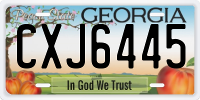 GA license plate CXJ6445