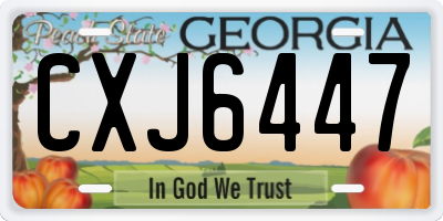 GA license plate CXJ6447