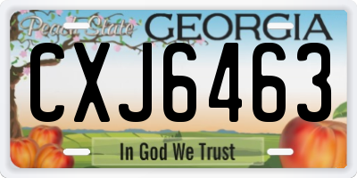 GA license plate CXJ6463