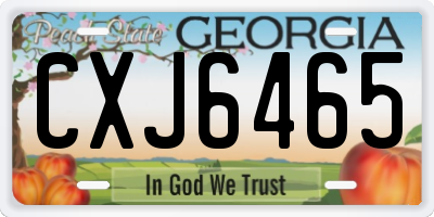 GA license plate CXJ6465