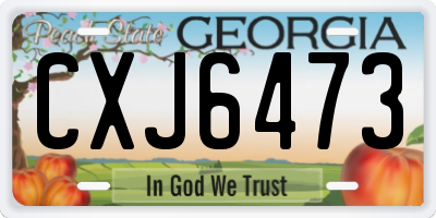 GA license plate CXJ6473