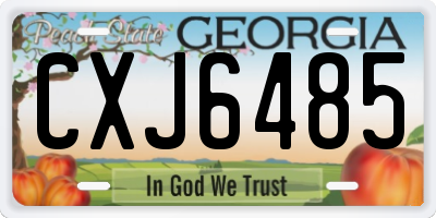 GA license plate CXJ6485