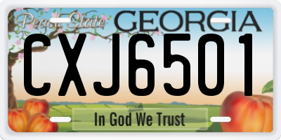 GA license plate CXJ6501