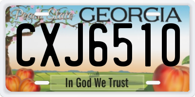 GA license plate CXJ6510