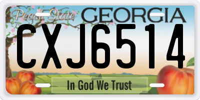 GA license plate CXJ6514