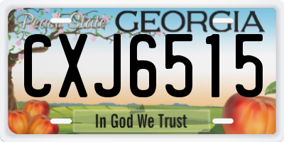 GA license plate CXJ6515