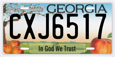GA license plate CXJ6517