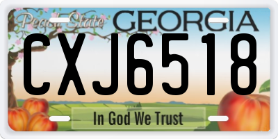 GA license plate CXJ6518