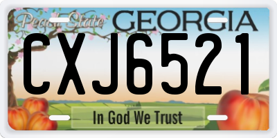 GA license plate CXJ6521