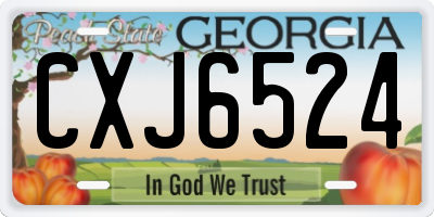 GA license plate CXJ6524
