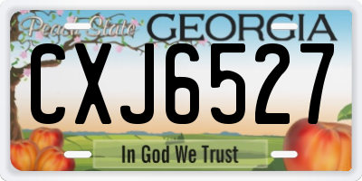 GA license plate CXJ6527
