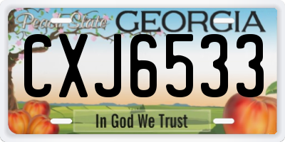 GA license plate CXJ6533