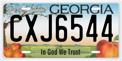 GA license plate CXJ6544