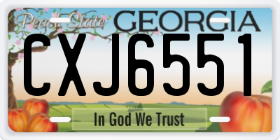 GA license plate CXJ6551