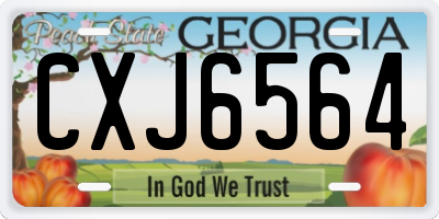 GA license plate CXJ6564
