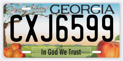 GA license plate CXJ6599