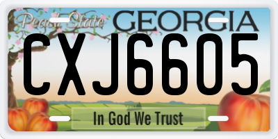 GA license plate CXJ6605