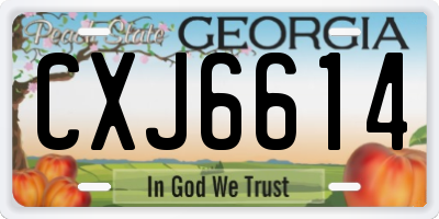 GA license plate CXJ6614