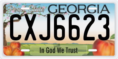 GA license plate CXJ6623