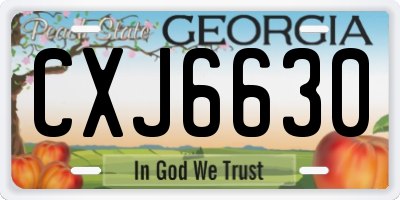 GA license plate CXJ6630