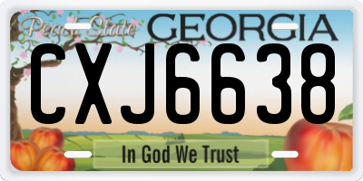 GA license plate CXJ6638
