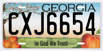 GA license plate CXJ6654
