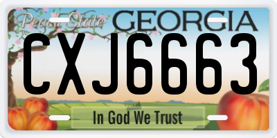 GA license plate CXJ6663